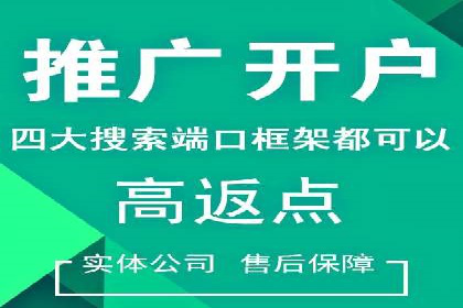 某电商平台的SEM竞价推广实践